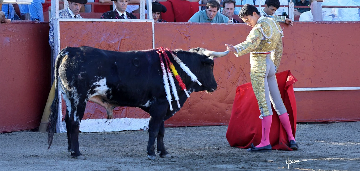 Ignacio Garibay fue seleccionado de entre nueve novilleros para torear otra vez mañana en Málaga. Fotos cortesía mundotoro Philippe Gil Mir