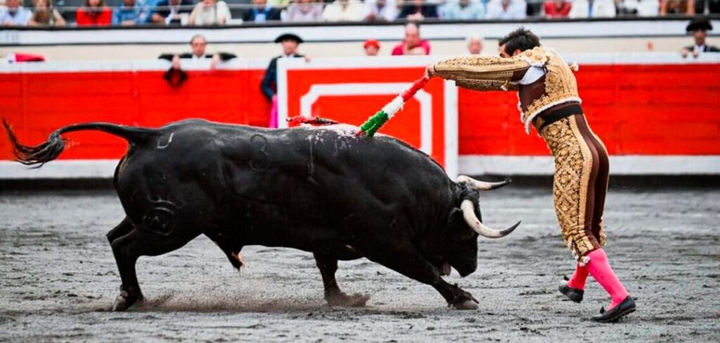 Jesús, ‪Enrique, Colombo actuó esta tarde en Bilbao, reapareciendo y con una fractura en el brazo, como si no trajera nada. Sus toros no le ayudaron.