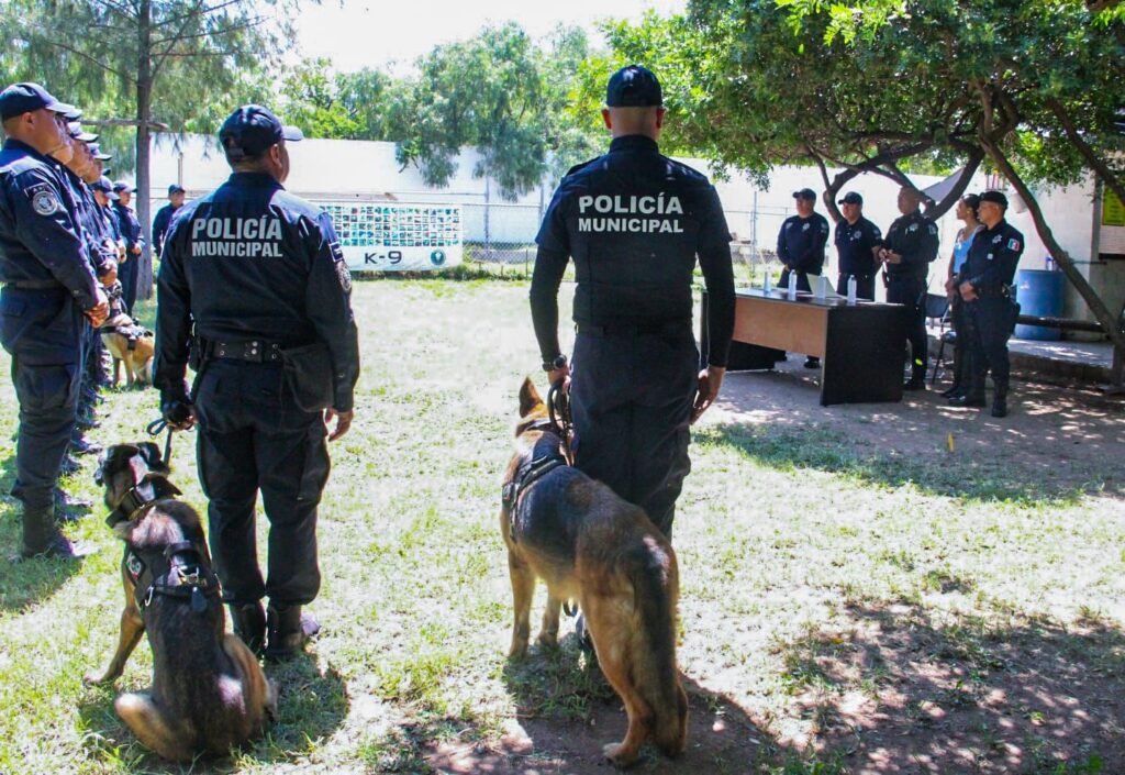 K9 Policía Municipal