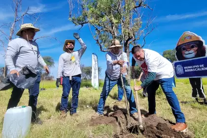 La Pona Aguascalientes