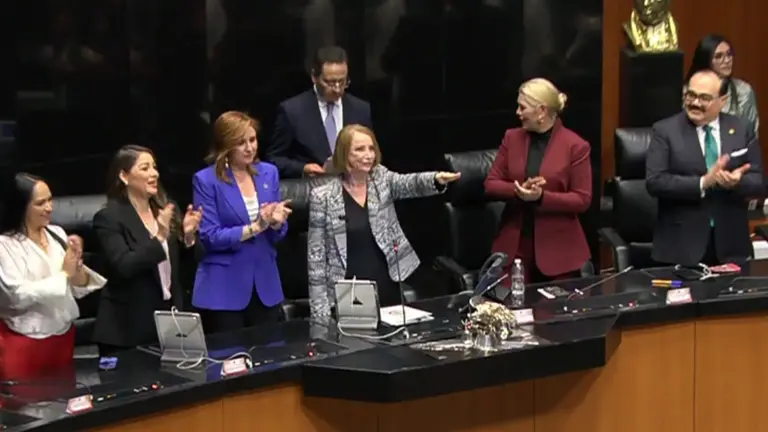 Laura Itzel Castillo durante su toma de protesta. Foto Senado