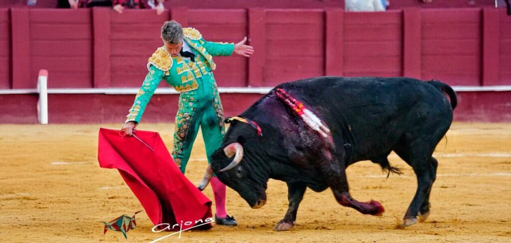 Manuel Escribano consiguió un toreo de profundidad y largueza en su primero en La Malagueta.