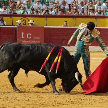 Tersos muletazos logro Talavante en el primero al que desorejo