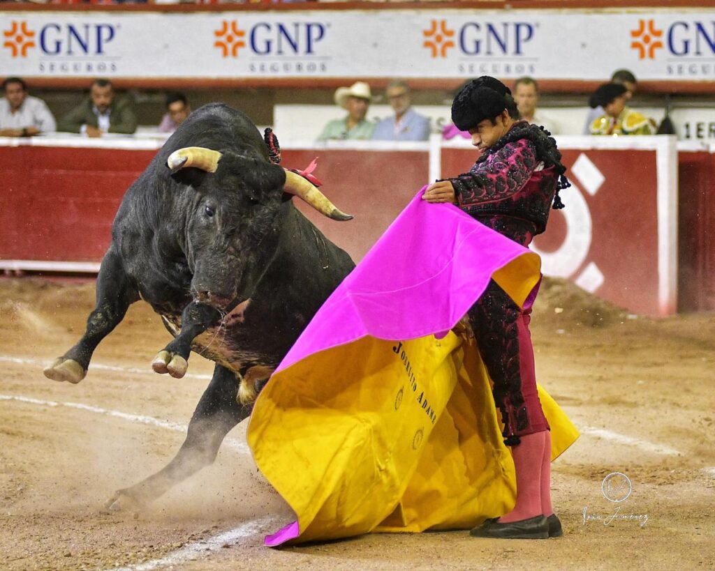 Un torero que siempre ha respetado su profesion y al publico que muchas veces le exigia a un grado maximo