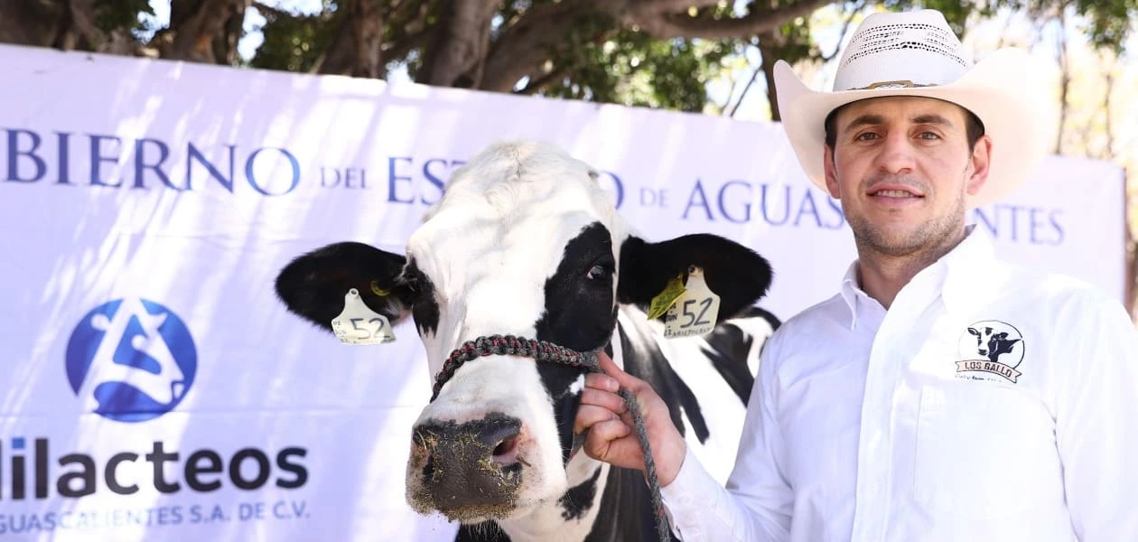 AliLeche ofrece leche local nutritiva a 15 pesos, beneficiando a más de 79 mil familias y fortaleciendo la economía de productores en Aguascalientes.