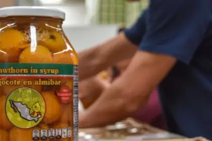 Empresas de Aguascalientes pueden participar gratis en el Gourmet Show 2025 en CDMX; registro antes del 11 de agosto con apoyo de Sedecyt.