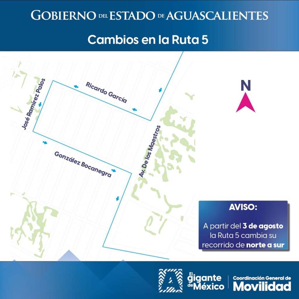 WhatsApp Image 2025 08 01 at 12.16.31 PM 2 1