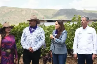 Tere Jiménez inaugura el primer Festival de la Uva en Cosío, impulsando el turismo y celebrando una cosecha récord de uva de mesa en Aguascalientes.