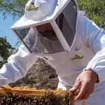 Aguascalientes impulsa la exportación de productos agroalimentarios con un catálogo de empresas y apoyo en la vinculación con nuevos mercados.