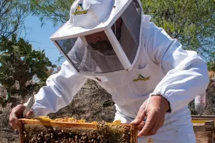 Aguascalientes impulsa la exportación de productos agroalimentarios con un catálogo de empresas y apoyo en la vinculación con nuevos mercados.