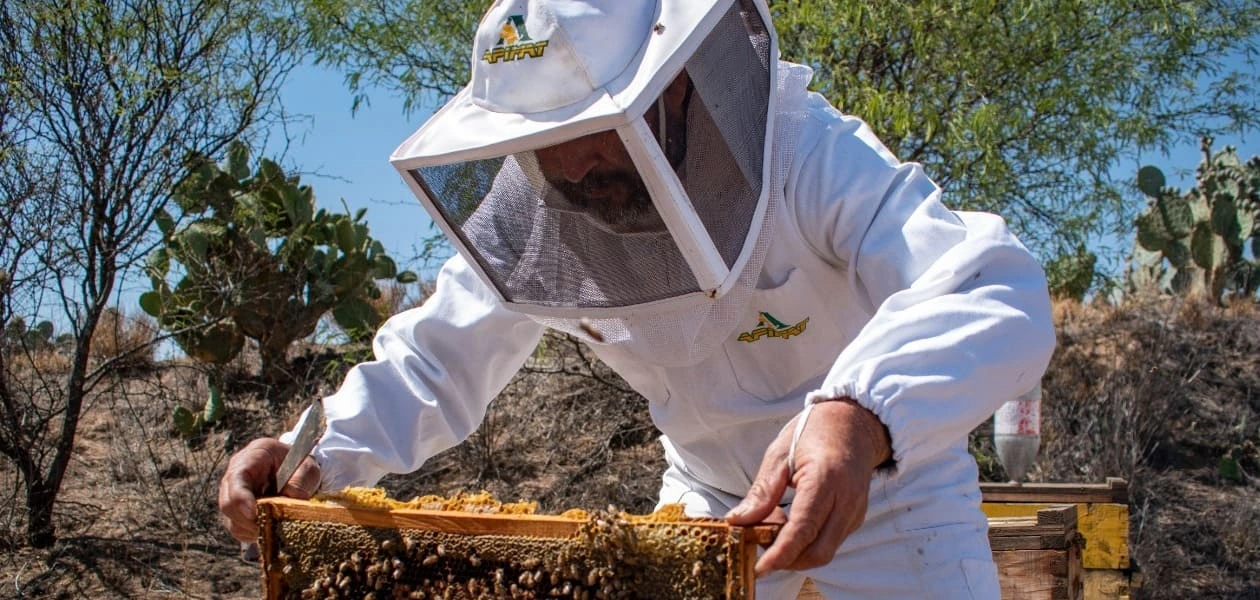Aguascalientes impulsa la exportación de productos agroalimentarios con un catálogo de empresas y apoyo en la vinculación con nuevos mercados.