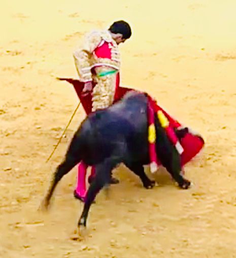 Y cuando vio que sus novillos se lo permitieron, toreó con clase, calidad y temple.