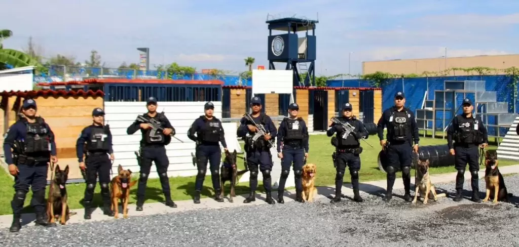 El Grupo K9 de la Policía Estatal de Aguascalientes recibe entrenamiento internacional en Texas para fortalecer seguridad y vigilancia en el estado
