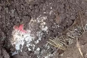 Ya fueron identificados los dos jóvenes encontrados en una fosa clandestina en Jesús María.