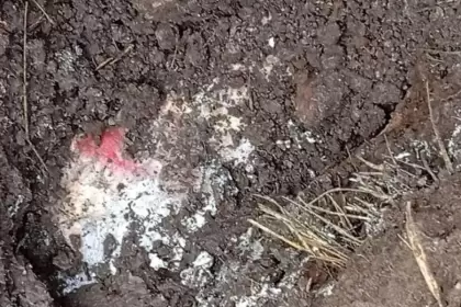 Ya fueron identificados los dos jóvenes encontrados en una fosa clandestina en Jesús María.