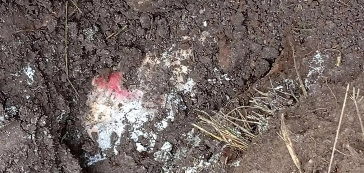 Ya fueron identificados los dos jóvenes encontrados en una fosa clandestina en Jesús María.