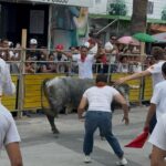 cb3635c4 f531 47d9 845c a863ad0a87fc