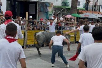 cb3635c4 f531 47d9 845c a863ad0a87fc