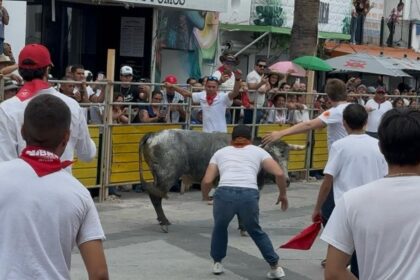 cb3635c4 f531 47d9 845c a863ad0a87fc