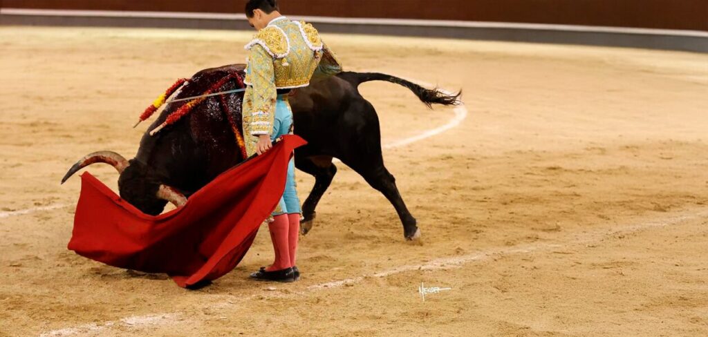 Bruno Aloi sumará el 10 de octubre su cuarta actuación en una misma temporada en Las Ventas de Madrid.