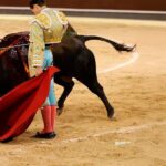 Confirman el adiós de Robleño y la cuarta tarde de Aloi en Madrid