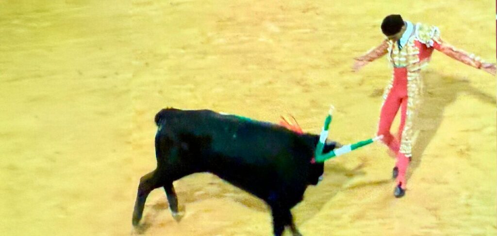 En el sexto colocó con entrega tres pares de banderillas, una suerte que no es cotidiana pero que hoy no dejó que faltara.