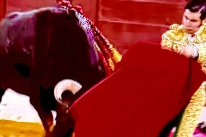 UN RABO DE PUNDONOR ARTÍSTICO A “MORANTE”