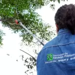 Aguascalientes brigadas plagas