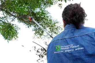 Aguascalientes brigadas plagas