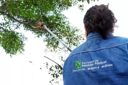 Aguascalientes brigadas plagas