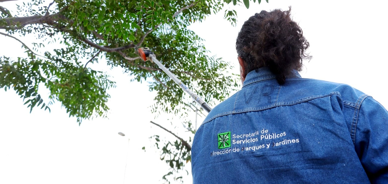 Aguascalientes brigadas plagas