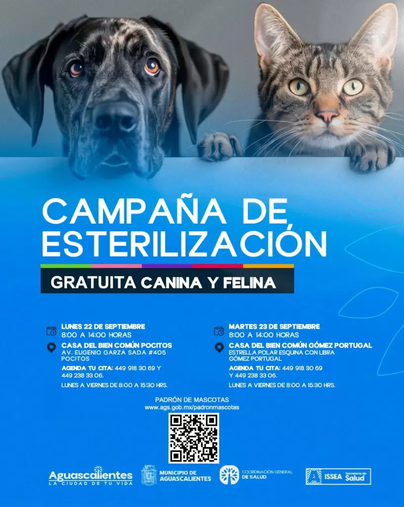 Aguascalientes esterilización gatos perros