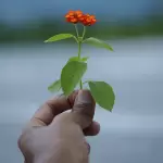 En el Día Mundial para la Prevención del Suicidio, la comunicación, la empatía y los valores familiares son indispensables entre las personas. Foto: Manoj Roy en Unsplash