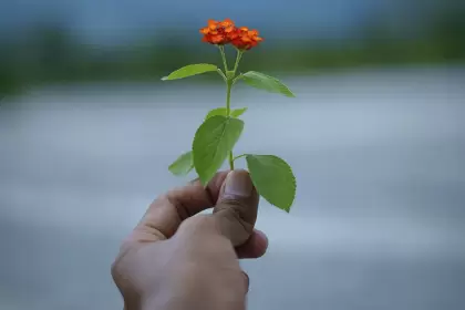 En el Día Mundial para la Prevención del Suicidio, la comunicación, la empatía y los valores familiares son indispensables entre las personas. Foto: Manoj Roy en Unsplash