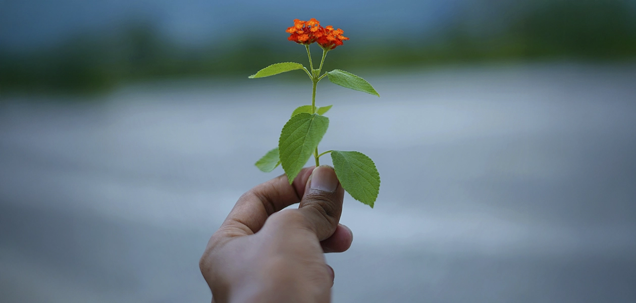 En el Día Mundial para la Prevención del Suicidio, la comunicación, la empatía y los valores familiares son indispensables entre las personas. Foto: Manoj Roy en Unsplash