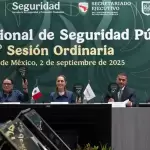 Gabinete de Seguridad destaca reducción de los homicidios dolosos durante reporte de resultados ante el CNSP