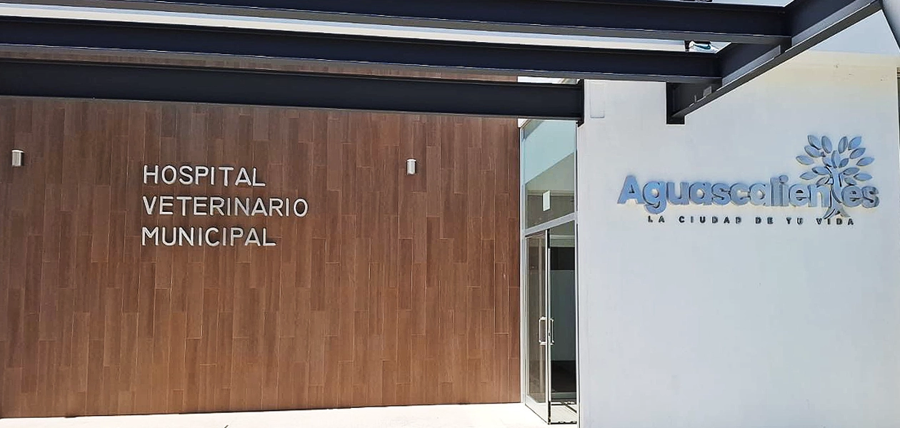 Hospital Aguascalientes