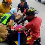 Una mujer cayó desde el desnivel de Segundo Anillo y López Mateos, en Fraccionamiento Pirules; sobrevive de milagro. Foto: JLMNoticias / Protección Civil Municipal.