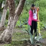 Más de 14 mil familias en Aguascalientes se han beneficiado con el Programa de Empleo Temporal, que impulsa el trabajo comunitario y apoya la economía familiar.