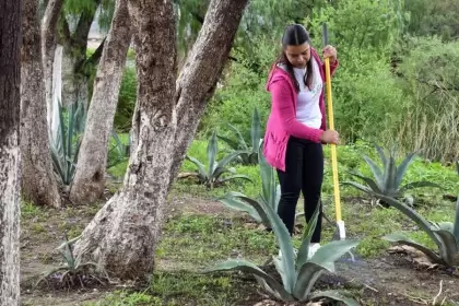 Más de 14 mil familias en Aguascalientes se han beneficiado con el Programa de Empleo Temporal, que impulsa el trabajo comunitario y apoya la economía familiar.