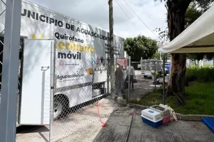 quirófano veterinario