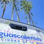 Aguascalientes arborización