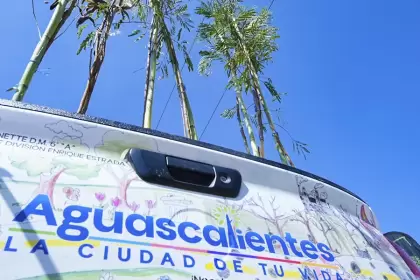 Aguascalientes arborización