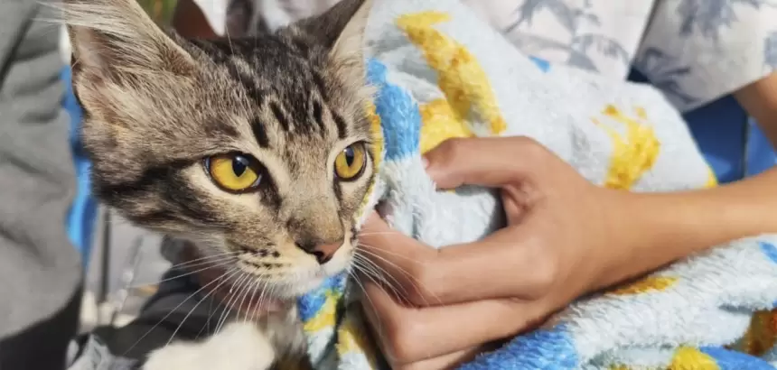 Aguascalientes esterilización