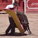 Aguascalientes festival