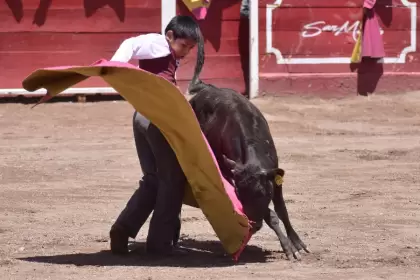 Aguascalientes festival