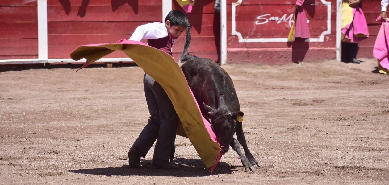 Aguascalientes festival
