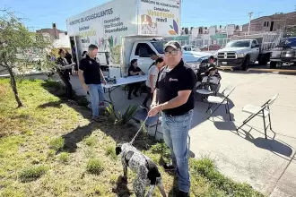 Aguascalientes veterinario