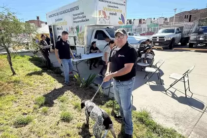 Aguascalientes veterinario