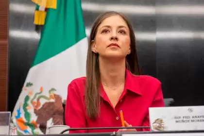La diputada federal Anayeli Muñoz. Foto: JLMNoticias / Anayeli Muñoz.